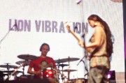 Lion Vibrations